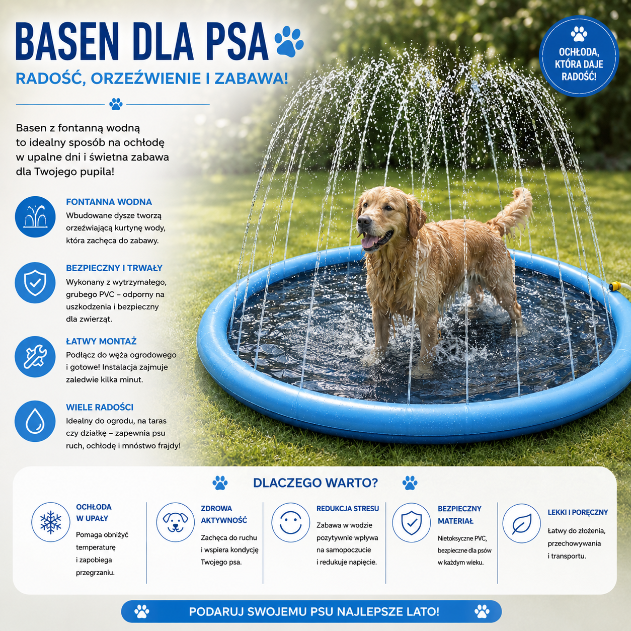 Basen dla psów