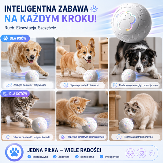 Interaktywna automatyczna piłka